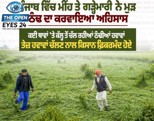 ਪੰਜਾਬ ਵਿੱਚ ਹੋਈ ਗੜ੍ਹੇਮਾਰੀ ਨੇ ਲੋਕਾਂ ਦੇ ਦੁਬਾਰਾ ਕਢਾਏ ਕੰਬਲ, ਫਸਲਾਂ ਦਾ ਵੀ ਹੋਇਆ ਨੁਕਸਾਨ