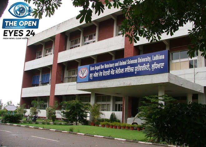 ਪੰਜਾਬ ਸਰਕਾਰ ਅਤੇ ਉਪ - ਕੁਲਪਤੀ ਆਪਣੇ ਵਾਅਦੇ ਤੋਂ ਮੁੱਕਰੇ - ਵੈਟਨਰੀ ਇੰਟਰਨਸ਼ਿਪ ਭੱਤੇ ਵਿੱਚ ਵਾਧਾ ਨਹੀਂ ਕੀਤਾ ਗਿਆ ਲਾਗੂ