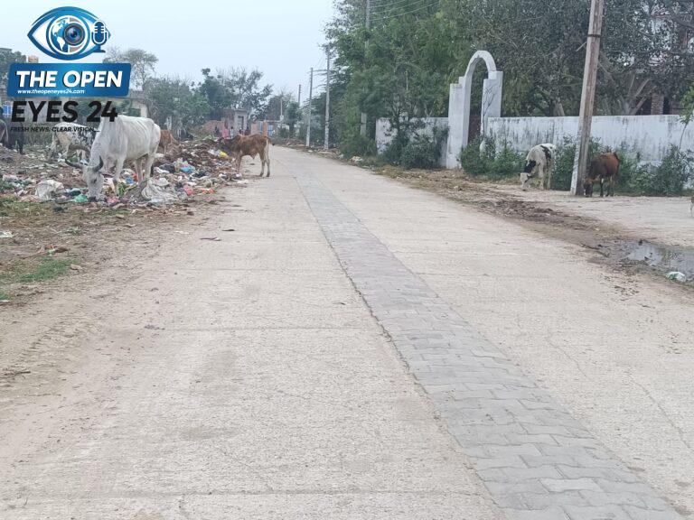 ਵਿਧਾਇਕ ਲਾਭ ਸਿੰਘ ਉੱਗੋਕੇ ਵੱਲੋਂ ਪਿੰਡ ਜੈਮਲ ਸਿੰਘ ਵਾਲਾ ਵਿਖੇ 40 ਲੱਖ ਦੀ ਲਾਗਤ ਨਾਲ ਬਣਨ ਵਾਲੇ ਵੈੱਲਨੈਸ ਸੈਂਟਰ ਦਾ ਕੰਮ ਸ਼ੁਰੂ ਕਰਵਾਇਆ