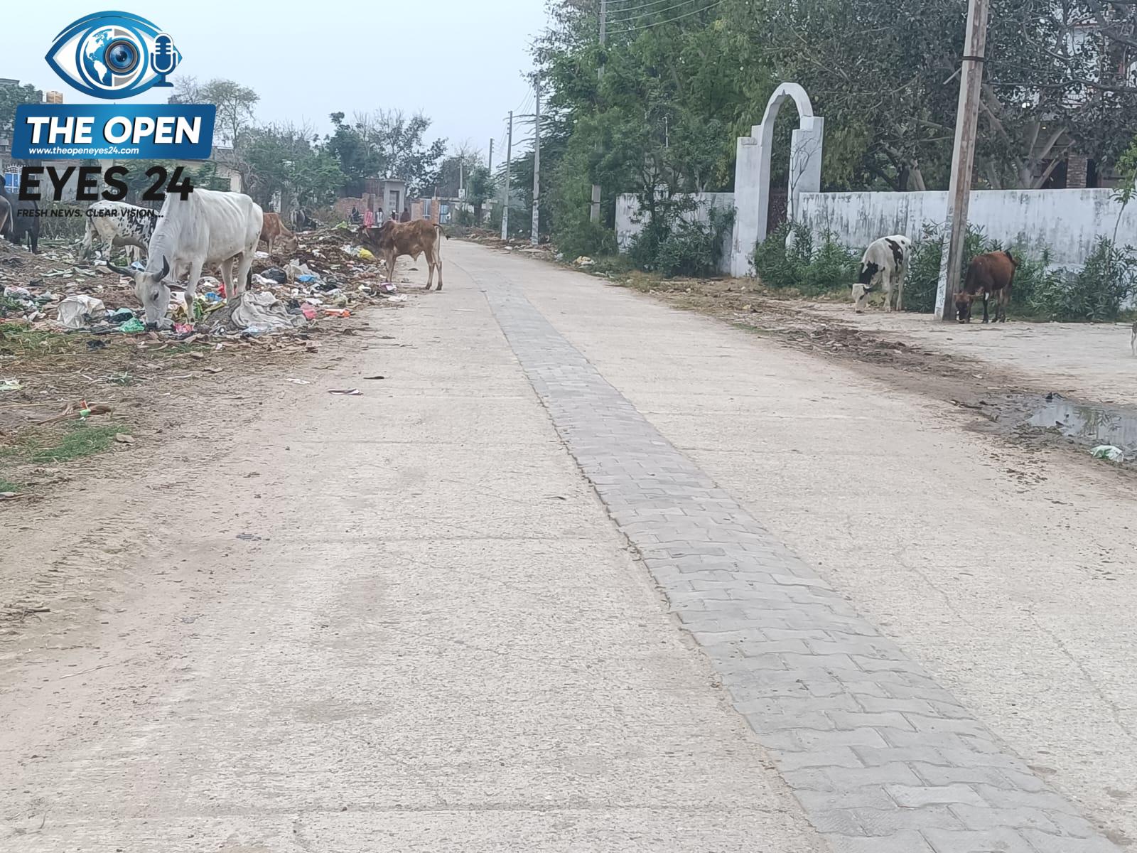 ਵਿਧਾਇਕ ਲਾਭ ਸਿੰਘ ਉੱਗੋਕੇ ਵੱਲੋਂ ਪਿੰਡ ਜੈਮਲ ਸਿੰਘ ਵਾਲਾ ਵਿਖੇ 40 ਲੱਖ ਦੀ ਲਾਗਤ ਨਾਲ ਬਣਨ ਵਾਲੇ ਵੈੱਲਨੈਸ ਸੈਂਟਰ ਦਾ ਕੰਮ ਸ਼ੁਰੂ ਕਰਵਾਇਆ