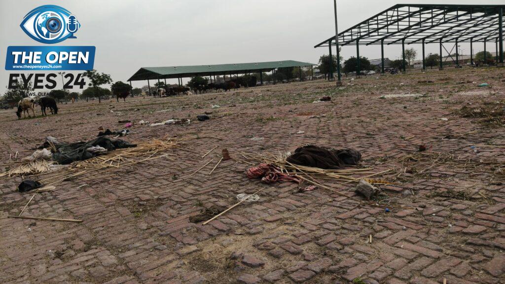 ਦਾਂਣਾ ਮੰਡੀ ਵਿੱਚ ਖਿਲਰੇ ਕੂੜੇ ਦੇ ਢੇਰ ਦੀ ਫੋਟੋ