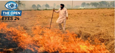 ਨਾੜ ਸਾੜਨ ਦੇ ਮਾਮਲੇ ਵਿੱਚ ਵੱਡੀ ਕਾਰਵਾਈ: ਡੀਐਸਪੀ, ਐਸਐਚਓ ਅਤੇ 3 ਕਲੱਸਟਰ ਅਫ਼ਸਰਾਂ ਨੂੰ ਨੋਟਿਸ ਜਾਰੀ