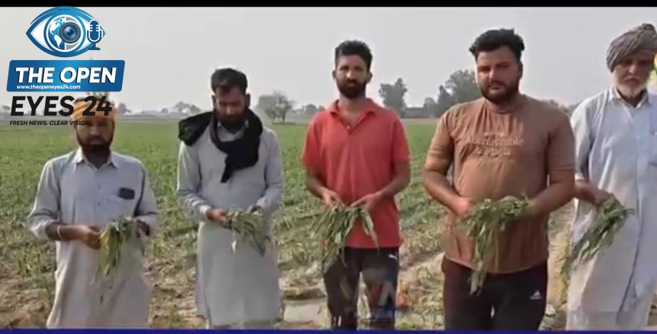 ਫੋਟੋ ਕੈਪਸ਼ਨ: ਪਿੰਡ ਠੀਕਰੀਵਾਲ ਵਿਖੇ ਫ਼ਸਲਾਂ ਦੇ ਨੁਕਸਾਨ ਸਬੰਧੀ ਮੀਟਿੰਗ ਕਰਦੇ ਹੋਏ ਭਾਰਤੀ ਕਿਸਾਨ ਯੂਨੀਅਨ ਕਾਦੀਆਂ ਦੇ ਆਗੂ ਅਤੇ ਵਰਕਰ।