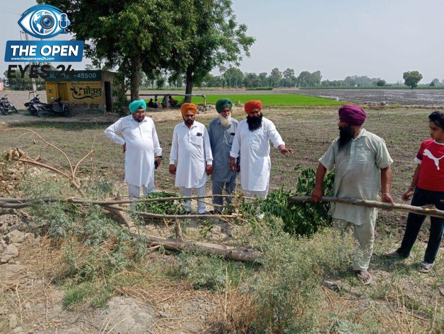 ਪਿੰਡ ਪੱਖੋਕੇ ਵਿਖੇ ਬਿਨਾਂ ਮਨਜ਼ੂਰੀ ਤੋਂ ਰੁੱਖ ਵੱਢਣ ਦਾ ਮਾਮਲਾ ਗਰਮਾਇਆ, ਪਿੰਡ ਵਾਸੀਆਂ ਅਤੇ ਸਰਪੰਚ ਵਿਚਾਲੇ ਖੜਕੀ