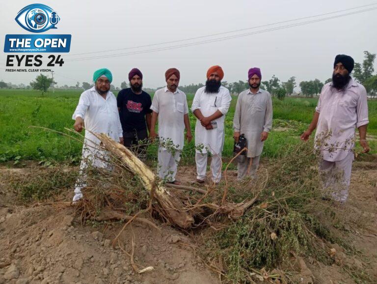 ਪਿੰਡ ਪੱਖੋਕੇ ਵਿਖੇ ਬਿਨਾਂ ਪ੍ਰਵਾਨਗੀ ਤੋਂ ਜੇਸੀਬੀ ਮਸ਼ੀਨ ਨਾਲ ਪੁੱਟੇ ਗਏ ਹਰੇ-ਭਰੇ ਦਰਖੱਤਾਂ ਦਾ ਜਾਇਜ਼ਾ ਲੈਂਦੇ ਹੋਏ ਪੁਲਿਸ ਚੌਕੀ ਇੰਚਾਰਜ ਪਵਨ ਜੋਸ਼ੀ ਅਤੇ ਹਾਜ਼ਰ ਪਿੰਡ ਵਾਸੀ।