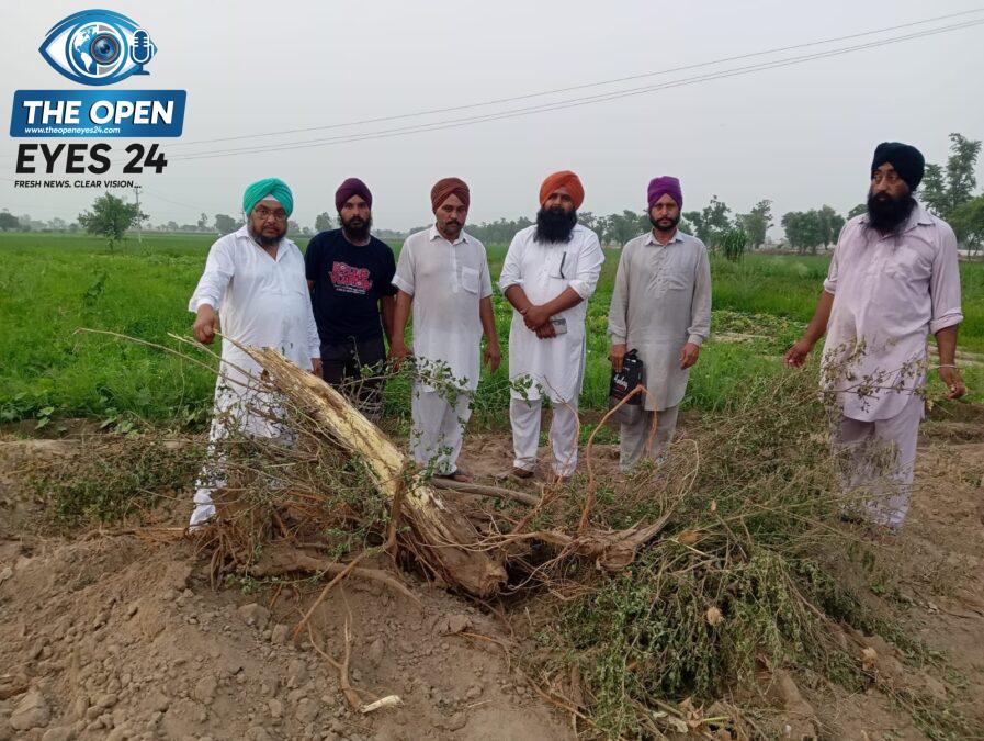 ਪਿੰਡ ਪੱਖੋਕੇ ਵਿਖੇ ਬਿਨਾਂ ਪ੍ਰਵਾਨਗੀ ਤੋਂ ਜੇਸੀਬੀ ਮਸ਼ੀਨ ਨਾਲ ਪੁੱਟੇ ਗਏ ਹਰੇ-ਭਰੇ ਦਰਖੱਤਾਂ ਦਾ ਜਾਇਜ਼ਾ ਲੈਂਦੇ ਹੋਏ ਪੁਲਿਸ ਚੌਕੀ ਇੰਚਾਰਜ ਪਵਨ ਜੋਸ਼ੀ ਅਤੇ ਹਾਜ਼ਰ ਪਿੰਡ ਵਾਸੀ।