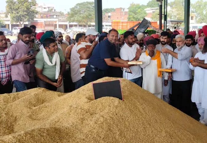 ਪੰਜਾਬ ਵਿੱਚ ਝੋਨੇ ਦੀ ਸਰਕਾਰੀ ਖਰੀਦ ਸ਼ੁਰੂ